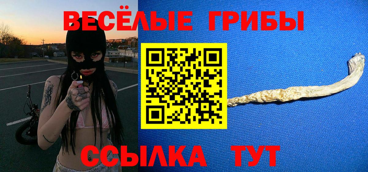 Галлюциногенные грибы Psilocybe  Псилоцибиновые грибы Magic Shrooms  Россошь  Вход с VPN 