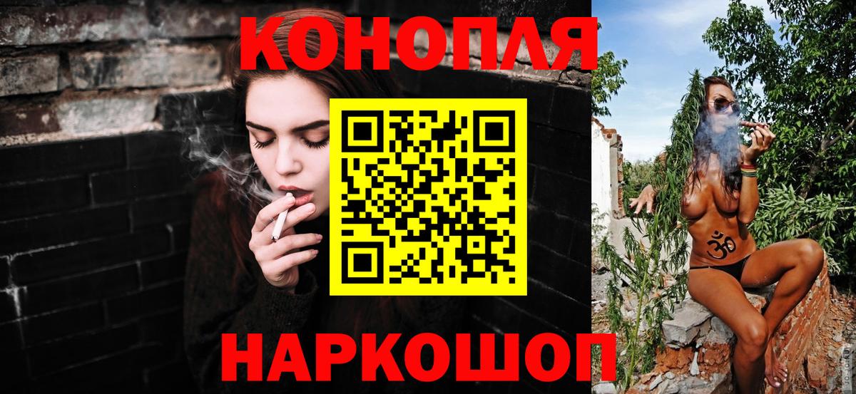 Конопля гибрид Россошь